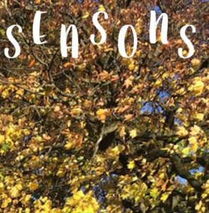 Seasons Ebook 294x300