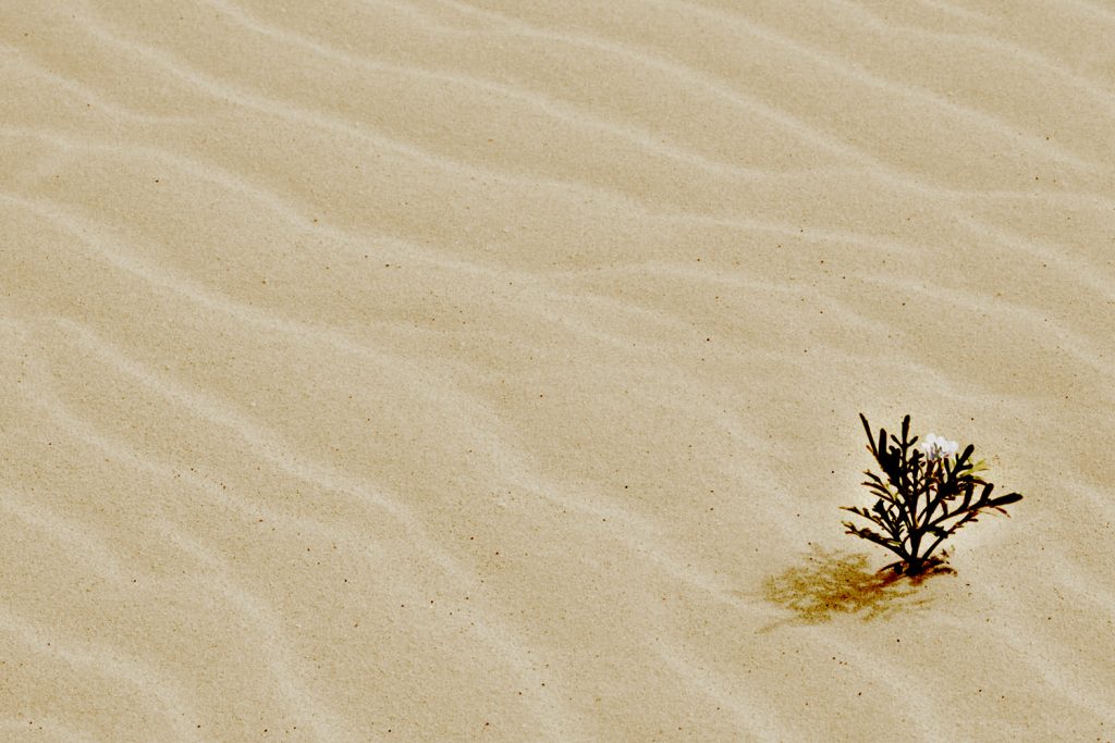 All Things 1024x683